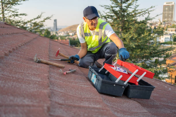 Best Custom Siding Design  in Lucerne, CA